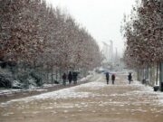 “És un bon regal de Reis”: la nevada sorprèn Igualada amb un paisatge de postal