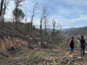 Augment i reforç de les mesures per prevenir incendis a la Plana de Vic