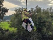 Rescat d’infart a l’Anoia: salven un gos que havia caigut per un barranc de 7 metres