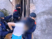 VÍDEO | Macrooperatiu a l’Anoia: desmantellen a Piera una plantació amb més de 1.100 plantes de marihuana en una nau industrial