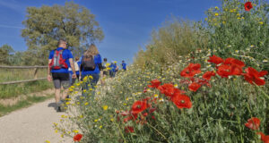 Més de 300 participants gaudeixen de la passejada i bicicletada popular a la Via Blava Anoia