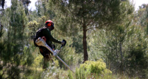 El Govern defineix 14 eixos de confinament d’incendis al territori per evitar que el foc salti d’un massís a un altre
