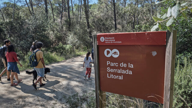 noticia_1782220590.jpg