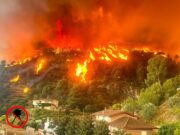 VÍDEO | L’incendi de l’Anoia queda estabilitzat després d’una nit intensa de maniobres: es manté un ampli dispositiu sobre el terreny