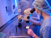 L’ús d’antioxidants pot millorar els ovòcits immadurs en la fecundació in vitro