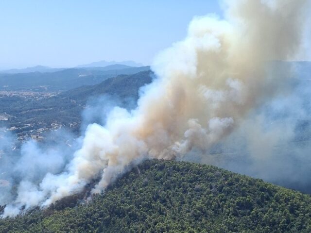 noticia_1783355551.jpg