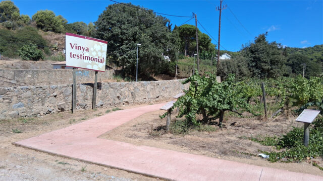 noticia_1789565131.jpg