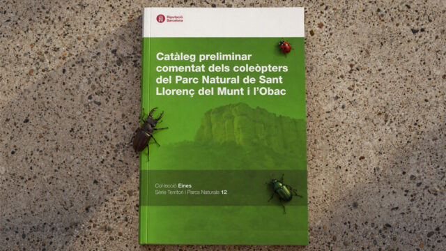 noticia_1793110583.jpg